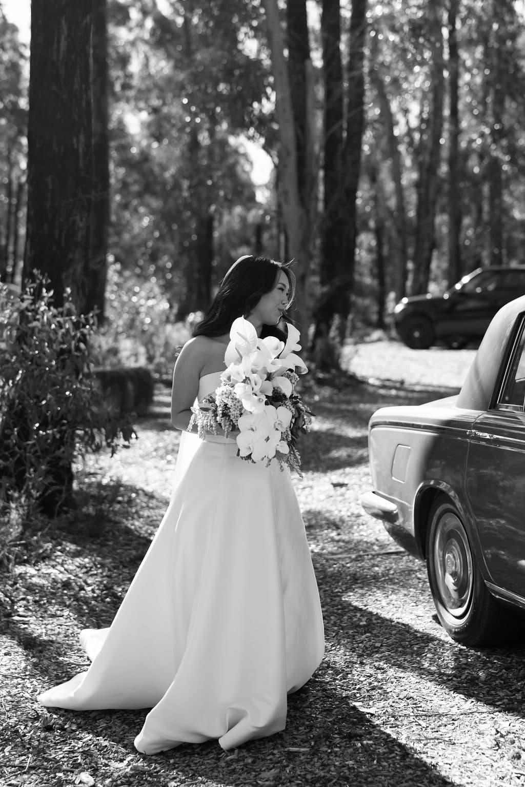 Ann stepping away from the Rolls-Royce among the tall gums on her way to the ceremony, in black and white