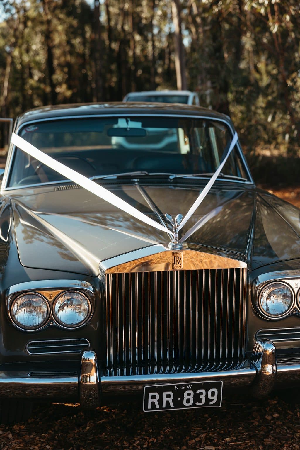 The 1968 Rolls-Royce waiting in the forest, white ribbon across the bonnet
