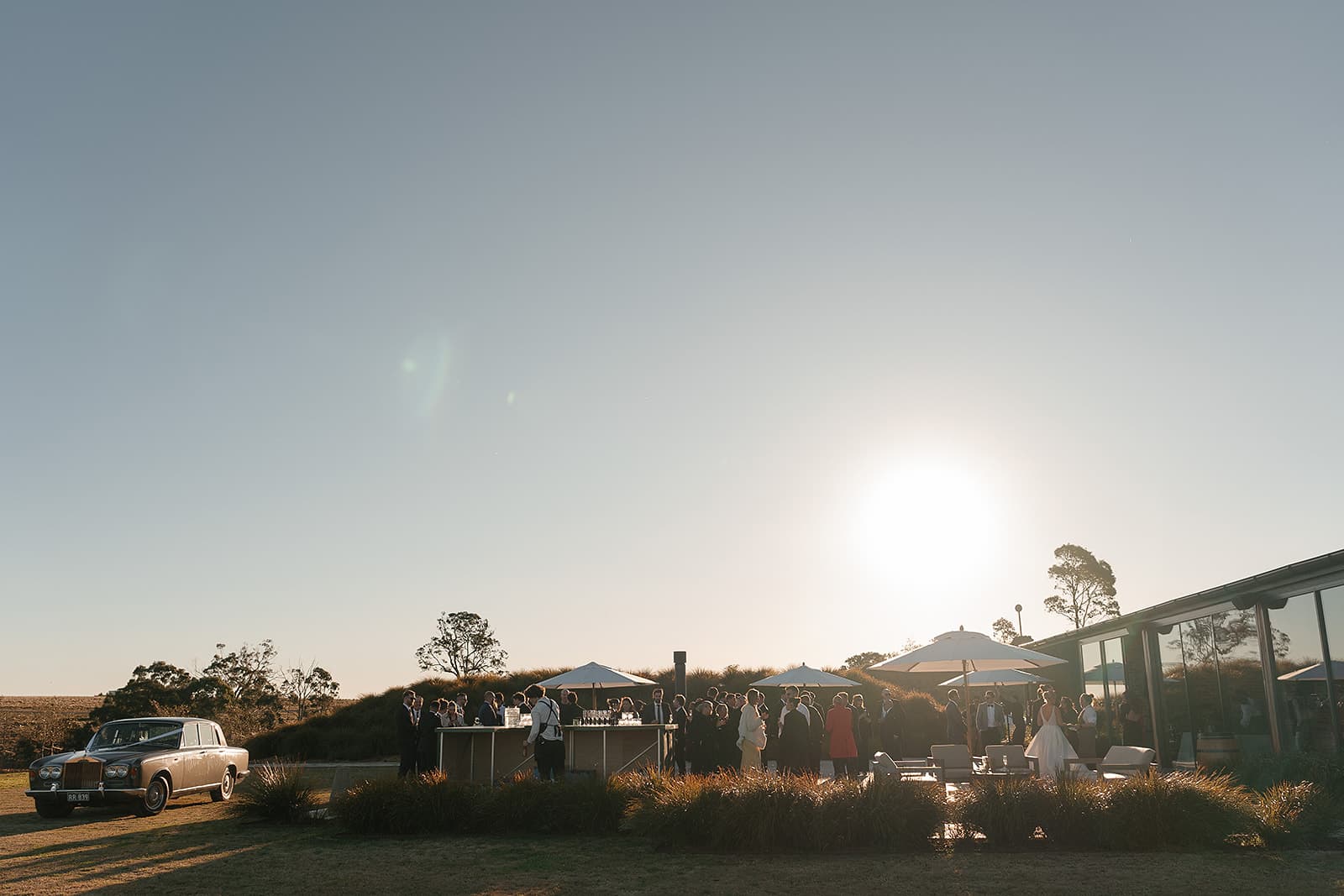 Cocktail hour on the lawn