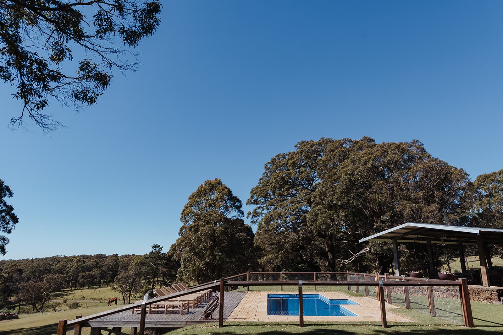 The fenced pool and sun deck at The Homestead, a horse grazing in the paddock beyond