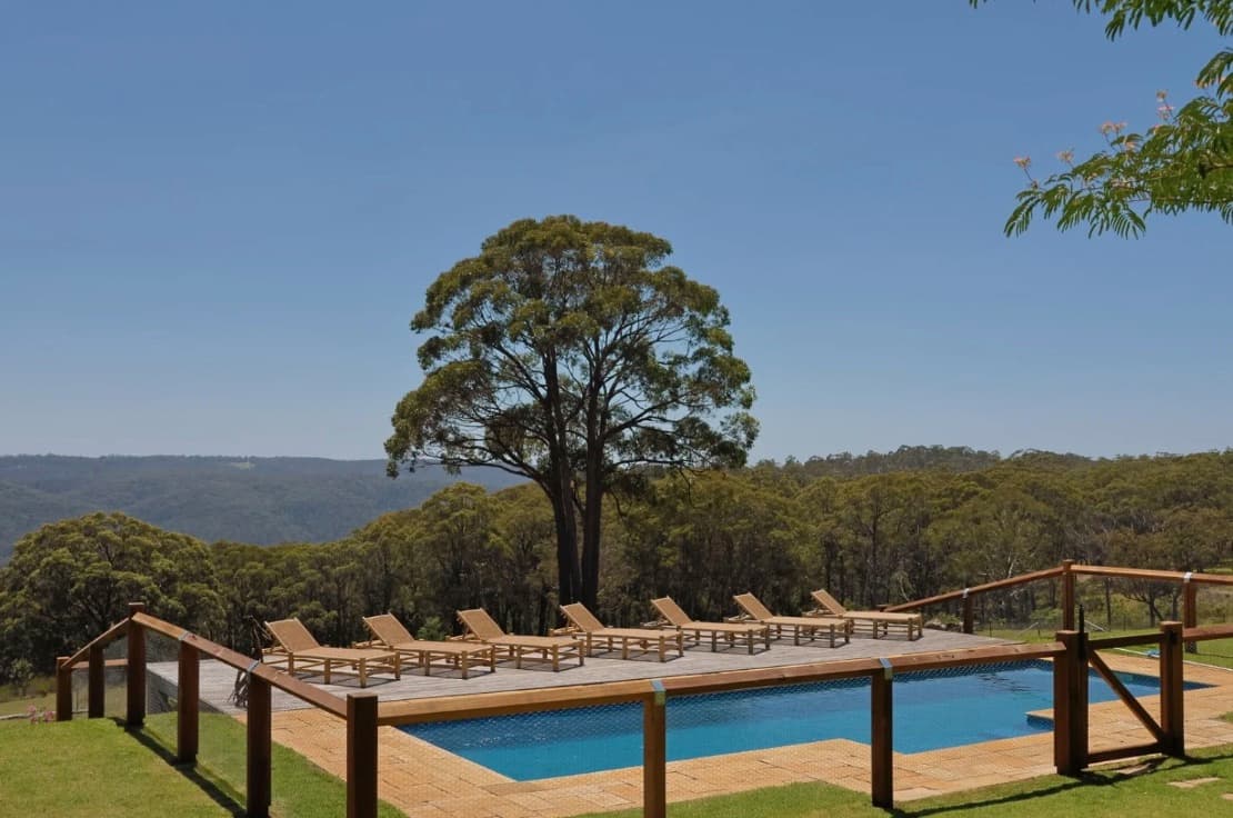 The Homestead pool and its row of timber loungers above the bushland, a tall gum behind and leaves hanging into the frame