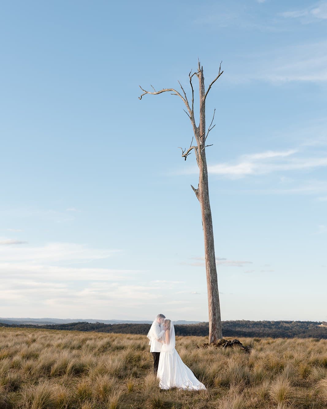 Beneath the dead tree