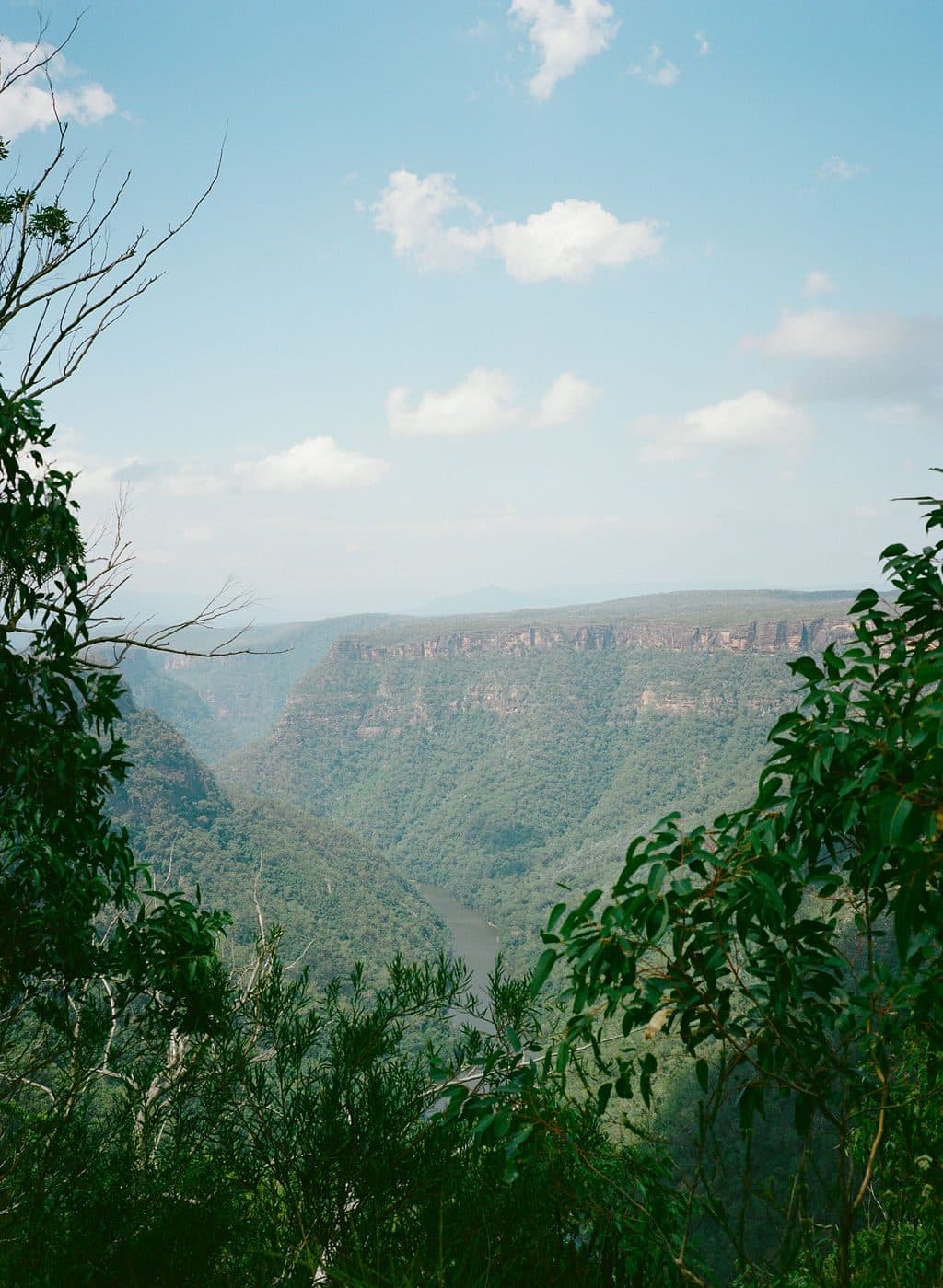 The Shoalhaven gorge falling away beneath the Caoura Cliffs escarpment