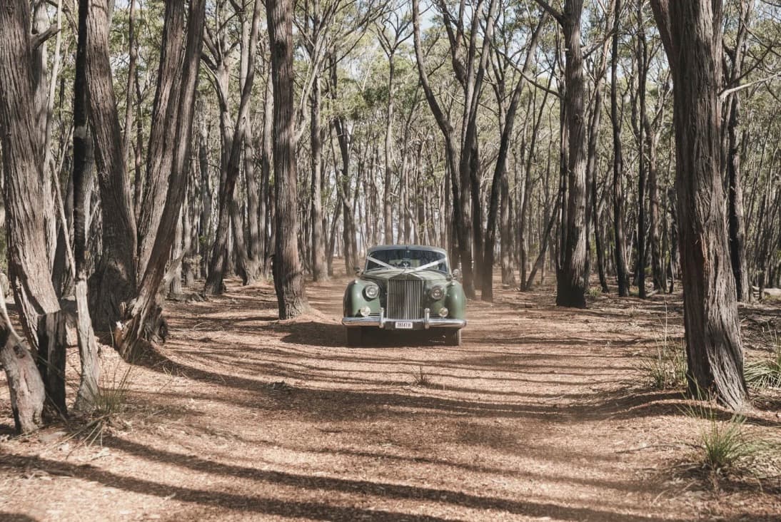 The venue's vintage Rolls-Royce on the dirt track through the gum forest, ribbon across the bonnet
