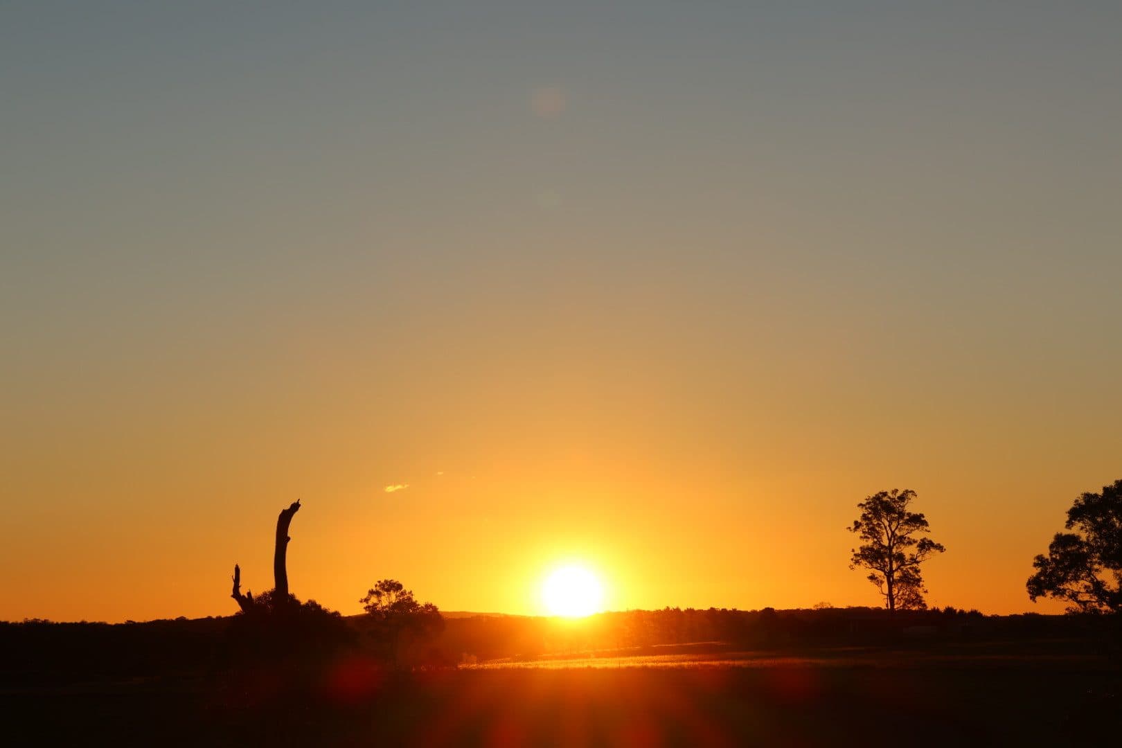 Golden hour on the land