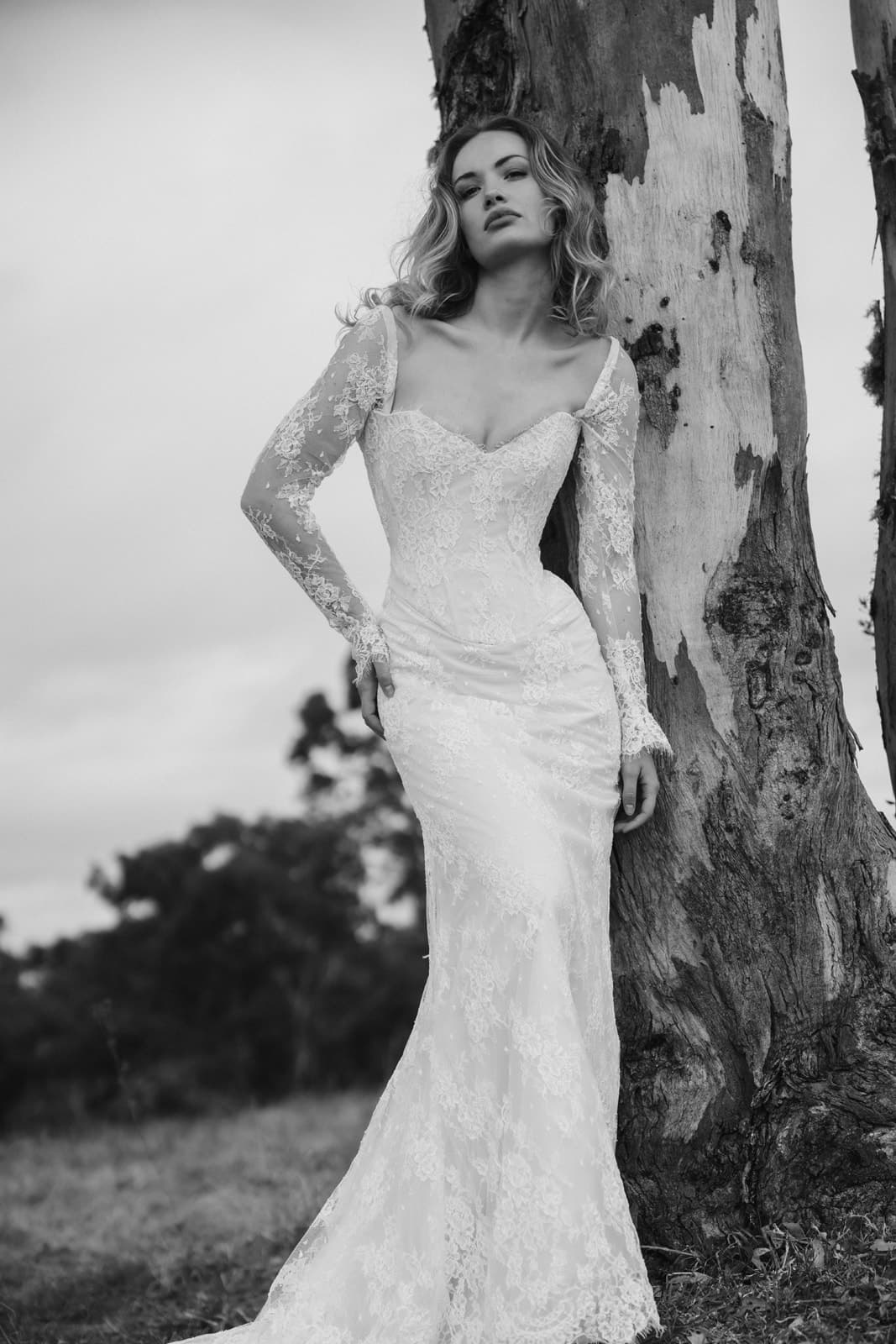 A bride in a lace Moira Hughes gown leaning against a eucalypt